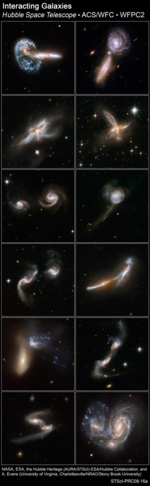 hubble-gigante