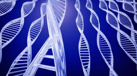 Genes Gene - Revista HypeScience