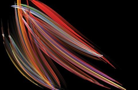 nikon small world photomicrography competition fitoplancto
