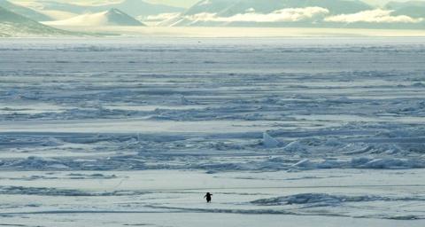 antartica