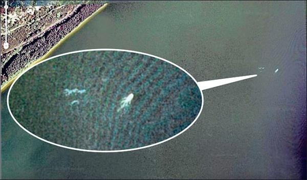fotos do monstro do lago ness: Nessie