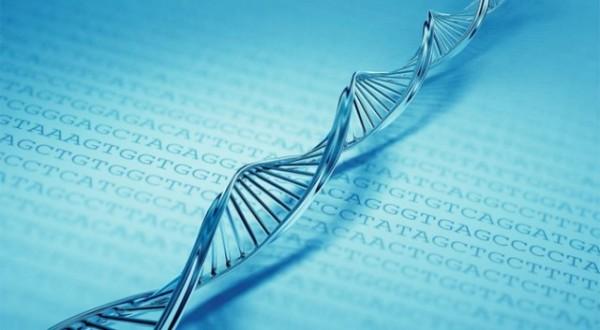 DNA tem 700 terabytes de memória em apenas um grama