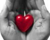 heart_hand.12792453_std