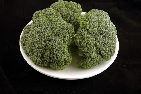 Brócolis – 588 gramas= 200 calorias