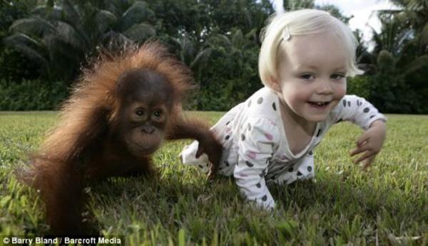 baby_with_ape_01