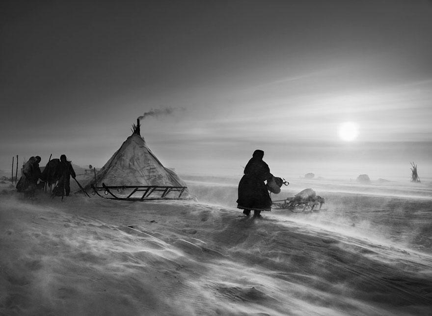 Povo Nenet vivendo nas profundezas da península Yamal, na Sibéria, dentro do Círculo Polar Ártico (2011)