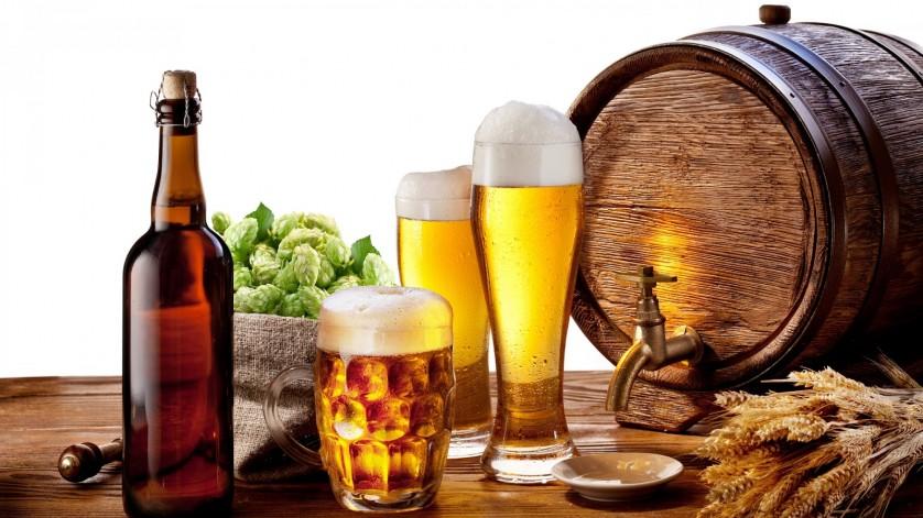 Cerveja artesanal revolução ciência