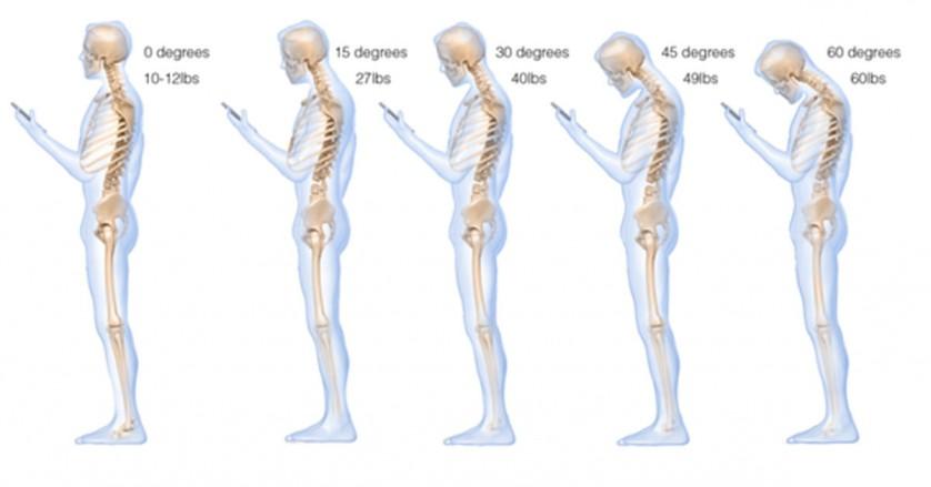 Cell-Phone-Spine