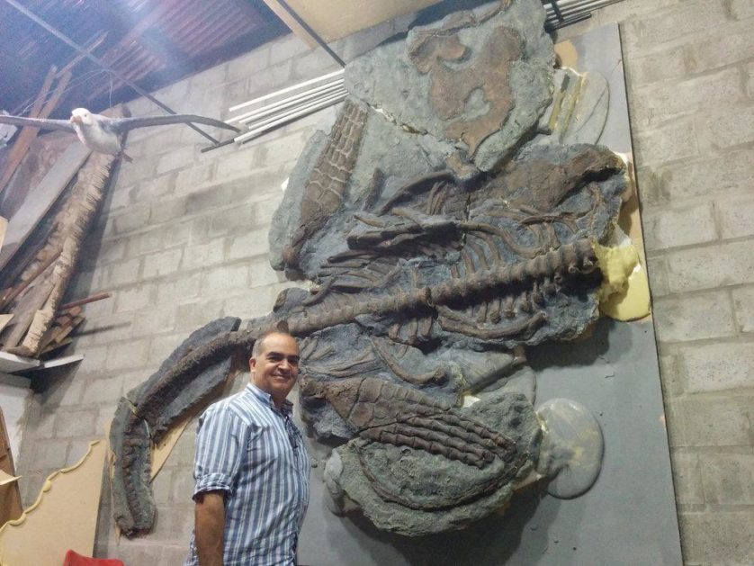 Fernando Novas ao lado de um molde de fóssil