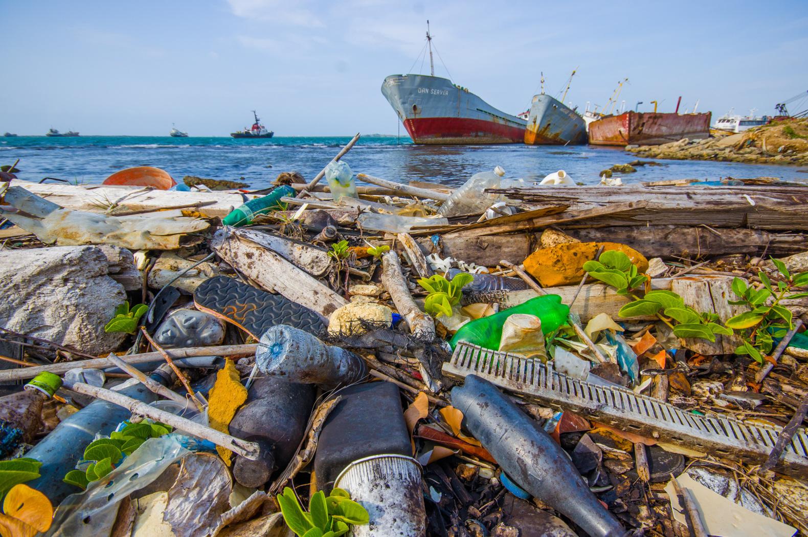 Resultado de imagem para plástico ameaça oceanos