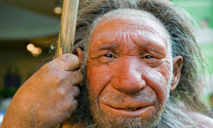 Lifelike figure of a Neanderthal Man in the Neanderthal Museum in Mettmann by Duesseldorf, Northrhine-Westphalia, Germany. Image shot 2006. Exact date unknown.