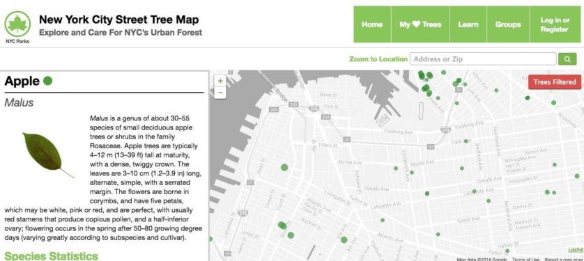 mapa-interativo-arvores-nova-york