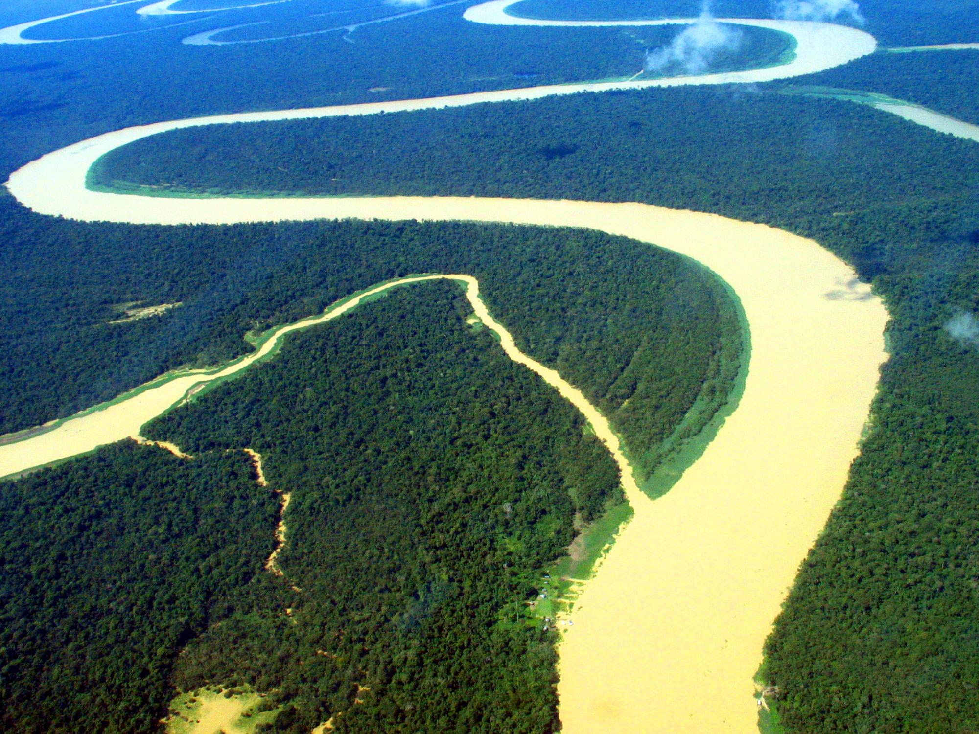 Какая река полноводна круглый. Амазонка и Ориноко. Река Ориноко Южная Америка. Бразилия Амазонская низменность. Ориноко Венесуэла.