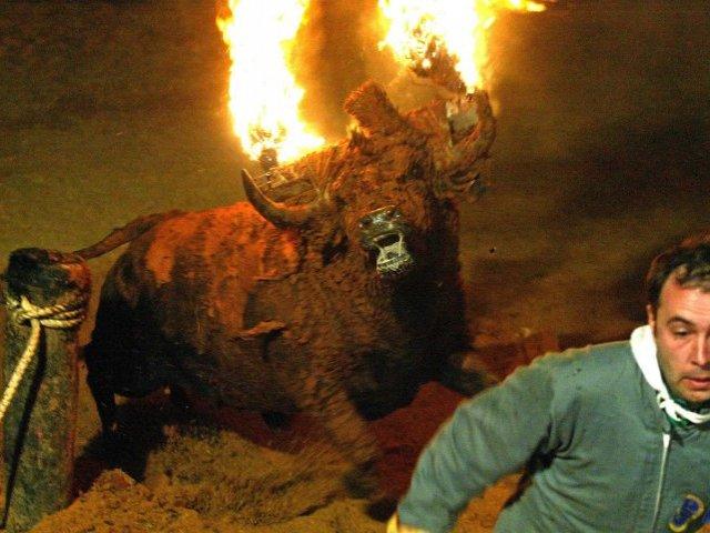 Homem morre após ser chifrado por touro em festival na Espanha