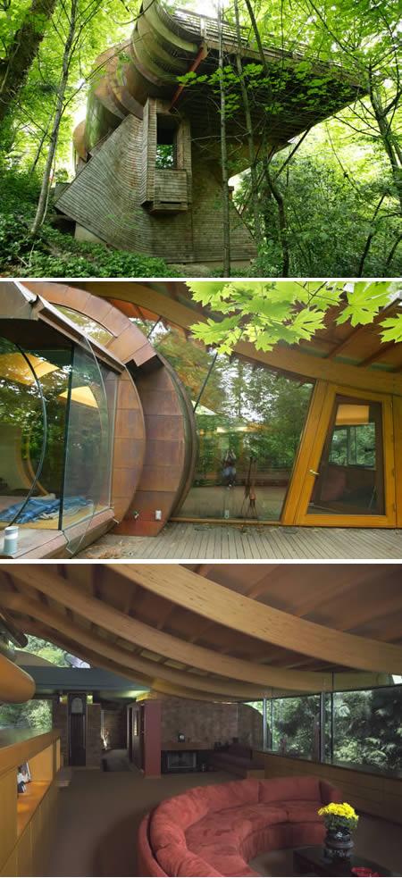 Projetos de arquitetura inusitada com árvore dentro de casa