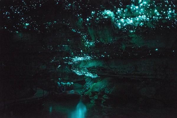 caverna glow worm nova zelandia