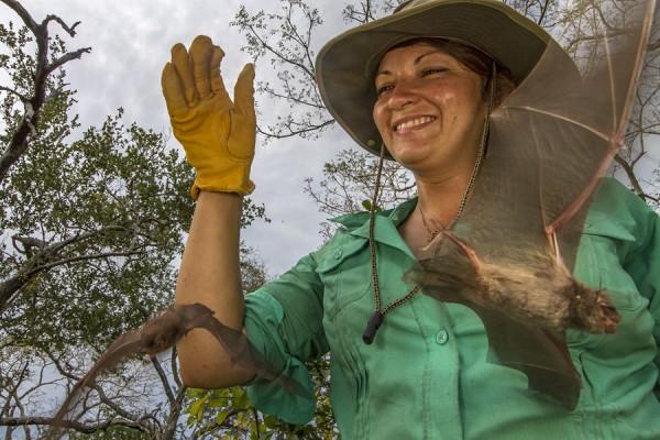 Pesquisadora Jennifer Guyton liberando espécies coletadas para estudo