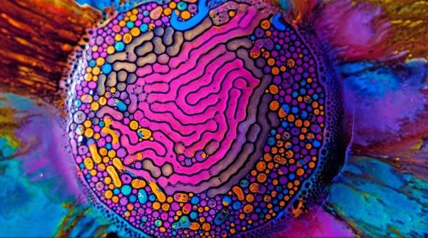 Formas estranhas formadas com o uso de ferrofluido e água colorida