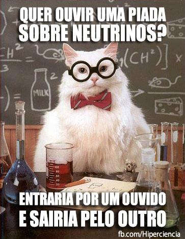 gato quimico quimica-NEUTRINOS