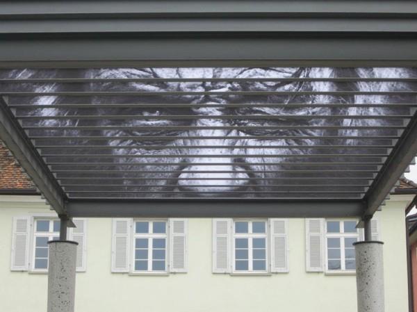 hidden-german-street-art-zebrating-14