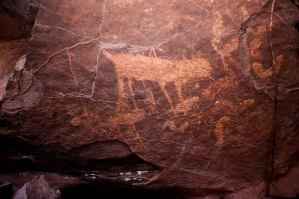 Scientists-tracking-Brazilian-wildlife-find-ancient-cave-paintings