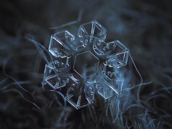 macro-photography-snowflakes-alexey-kljatov-1