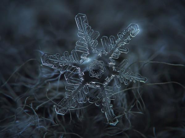 macro-photography-snowflakes-alexey-kljatov-11