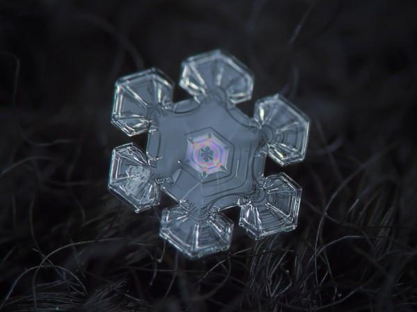 macro-photography-snowflakes-alexey-kljatov-15
