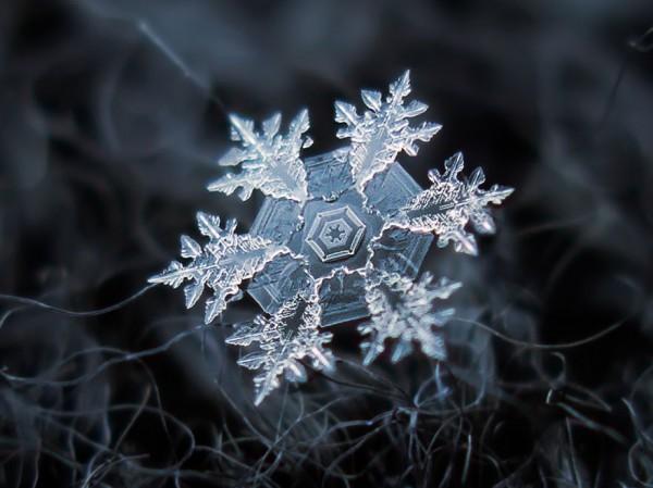 macro-photography-snowflakes-alexey-kljatov-18