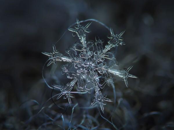 macro-photography-snowflakes-alexey-kljatov-2