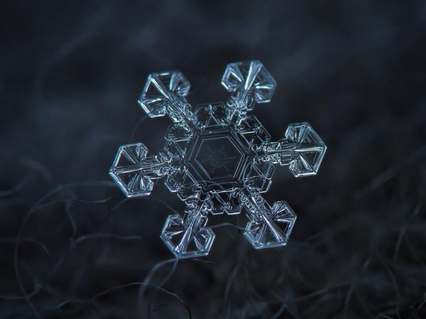 macro-photography-snowflakes-alexey-kljatov-5