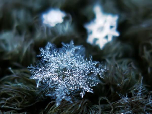 macro-photography-snowflakes-alexey-kljatov-9