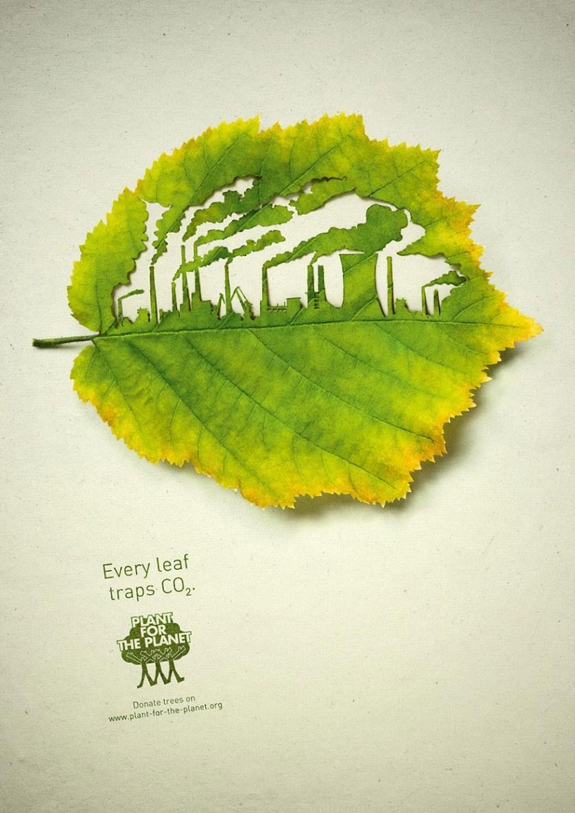 "Cada folha sequestra CO₂" Agência Leagas Delaney