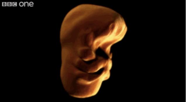 parto humano 1