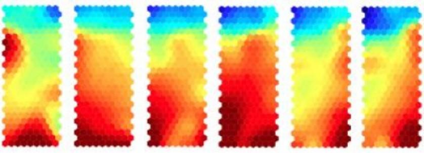 A expressão dos genes muda gradualmente em cada fase do tratamento, tal como ilustrado pelas mudanças de cor nesta série de mapas de calor