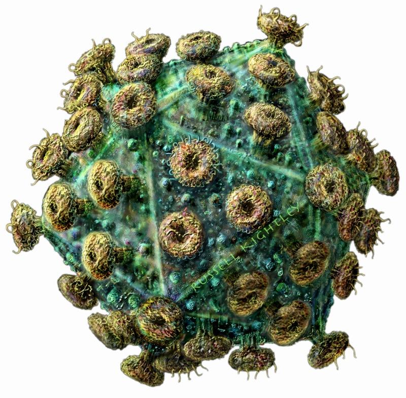 virus mortais 6