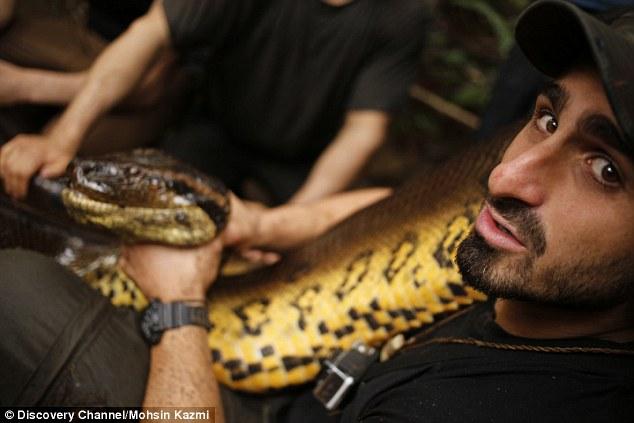 este-homem-foi-engolido-por-uma-anaconda (2)