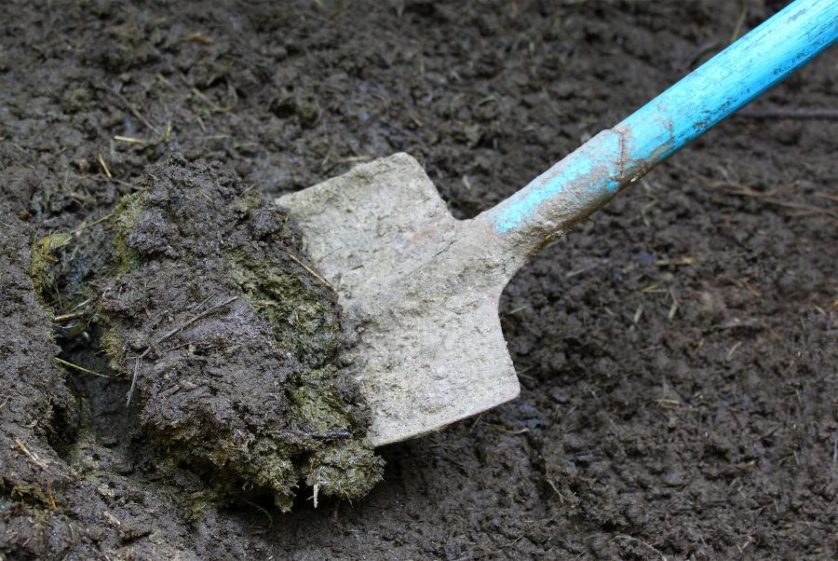 Close up of some manure with spade