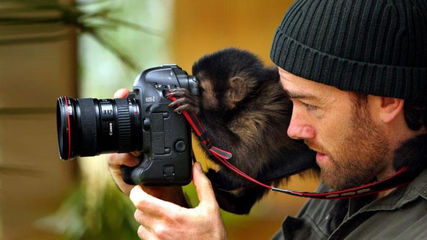 fotos de animais fotógrafos