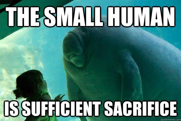 Tradução: A pequena humana é sacrifício suficiente. 