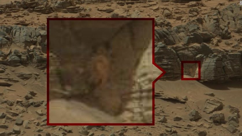 Blogueiro vê um caranguejo escalando uma rocha em Marte 