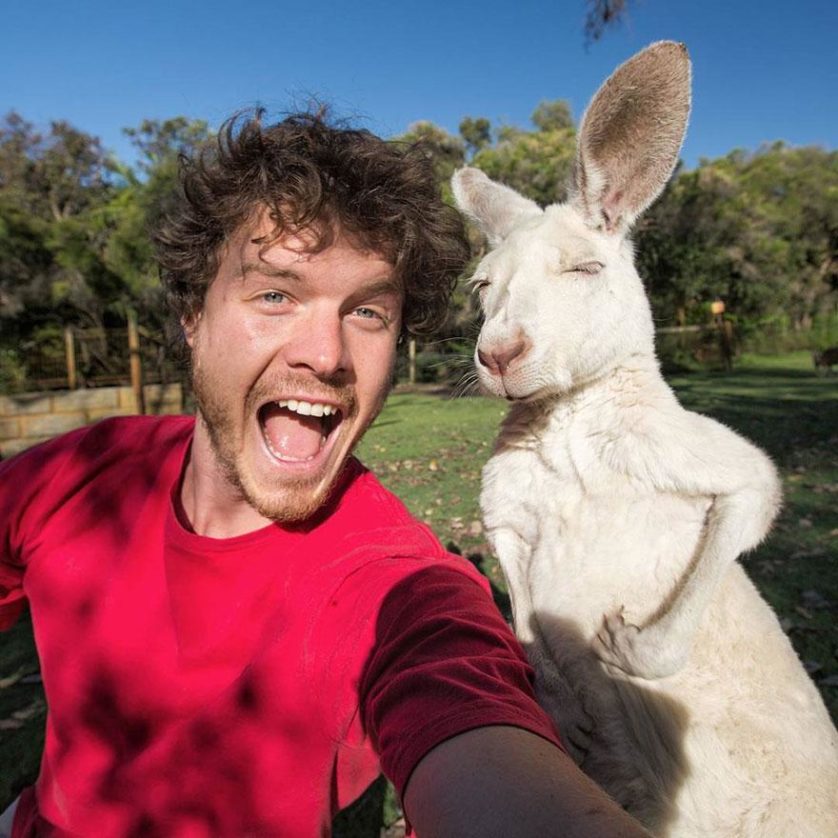 selfies engracadas com animais (3)