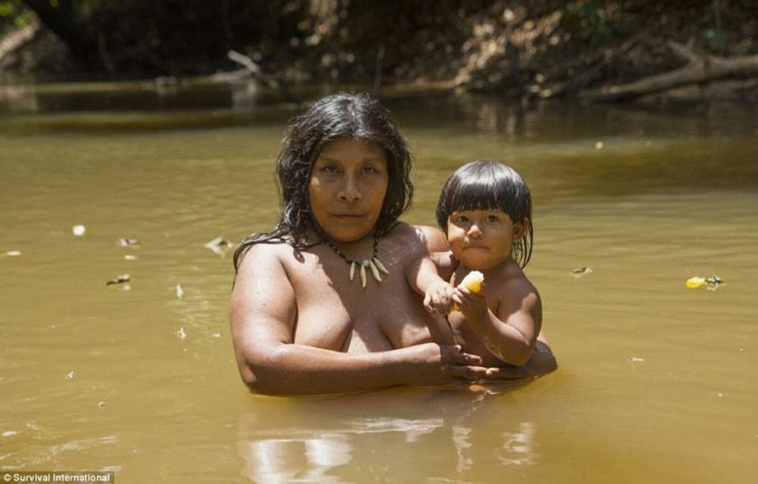 tribo amazonica awa (4)