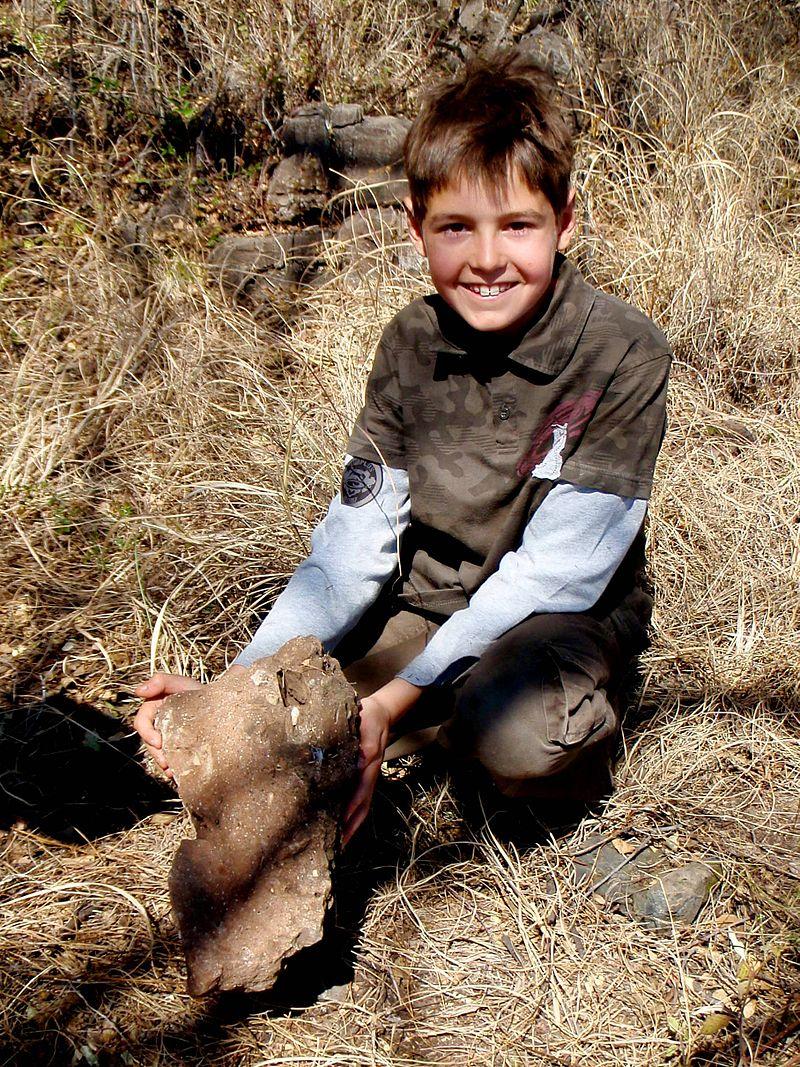 Aos nove anos de idade, o filho de Lee Berger, Mathew Berger, encontrou seu primeiro fóssil