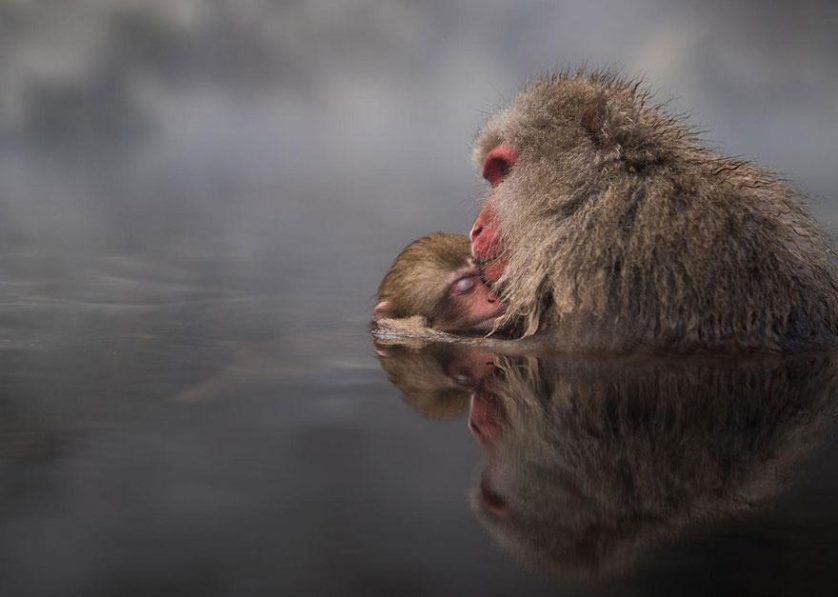 Travel Photographer Of The Year 2016 National Geographic 13