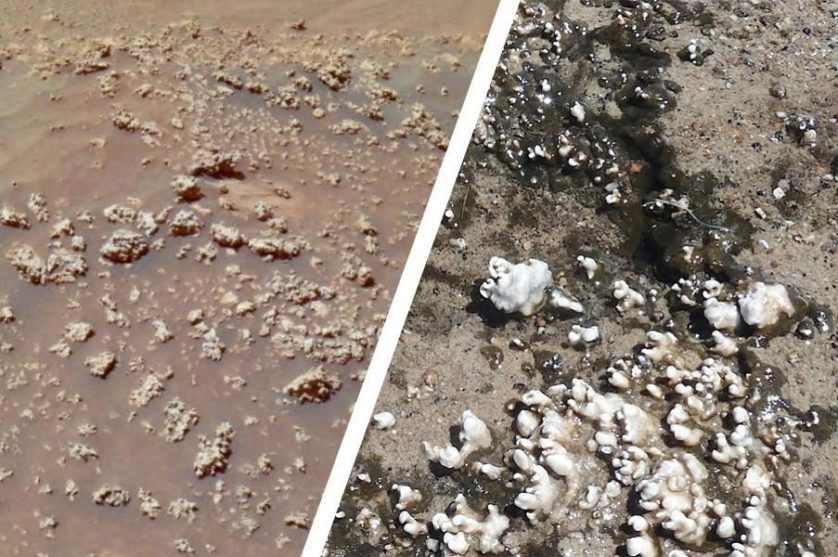 Uma comparação entre as estruturas de sílica em Marte (esquerda) e em El Tatio (direita)