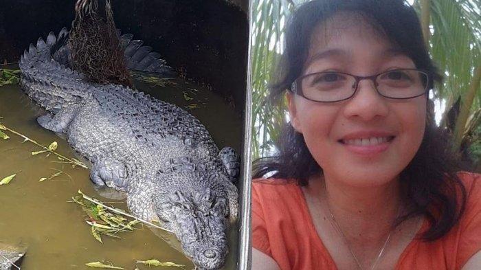 Empresário com pára-quedas caindo em crocodilos famintos