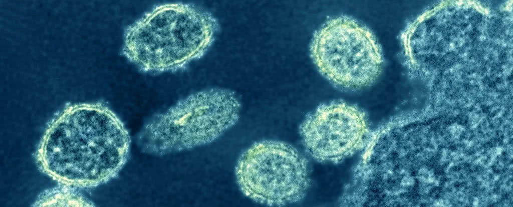 G4 EA H1N1: Novo vírus com potencial pandémico detetado na China