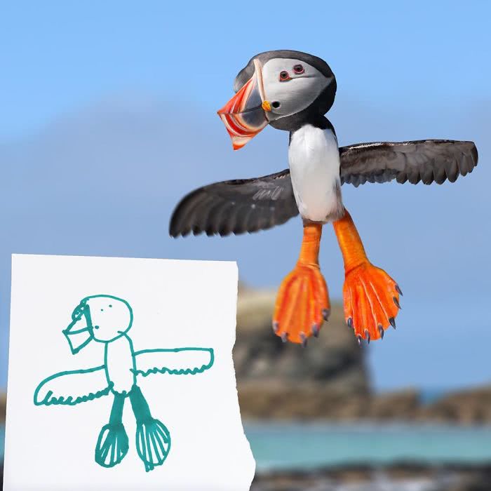 Papagaio do mar desenhado por uma criança e transformado em realidade por photoshop