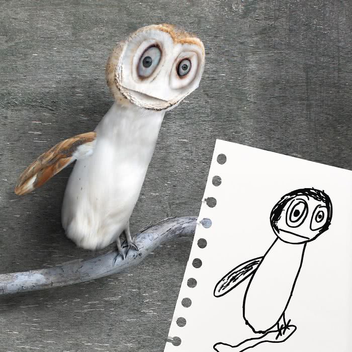 Coruja desenhada por uma criança e transformado em realidade por photoshop